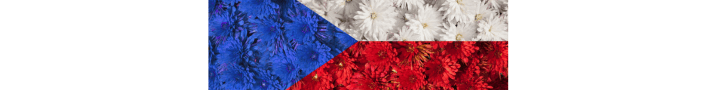 Czech flag made of flowers displayed at a Prague traditional holiday event.